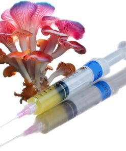 Premium Spores - Pink Oyster Mushroom Liquid Culture Syringe
