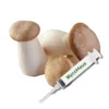 King Oyster Mushroom Liquid Culture | Pleurotus Eryngii