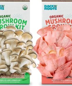 Back to the Roots Organic Mushroom Grow Kit - Oyster and Pink Mushroom 2-Pack Variety - Indoor Non-GMO Growing Kit - Produces 3-4 Servings and Grows in 10 Days