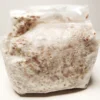 1 Quart of Grain Spawn (1lb.)
