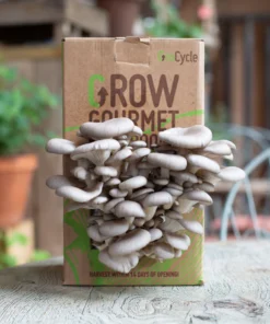 GroCycle Oyster Mushroom Grow Kit