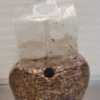 Buy Sterilized Grain Spawn