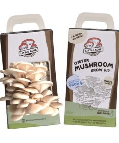 White Oyster Mushroom Grow Kit