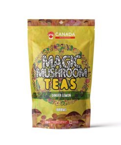 Texas Mushrooms Shroom Tea | 1000MG | Ginger Lemon
