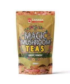 Texas Mushrooms Shroom Tea | 1000MG | Ginger Turmeric