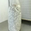 Blue oyster grain spawn: