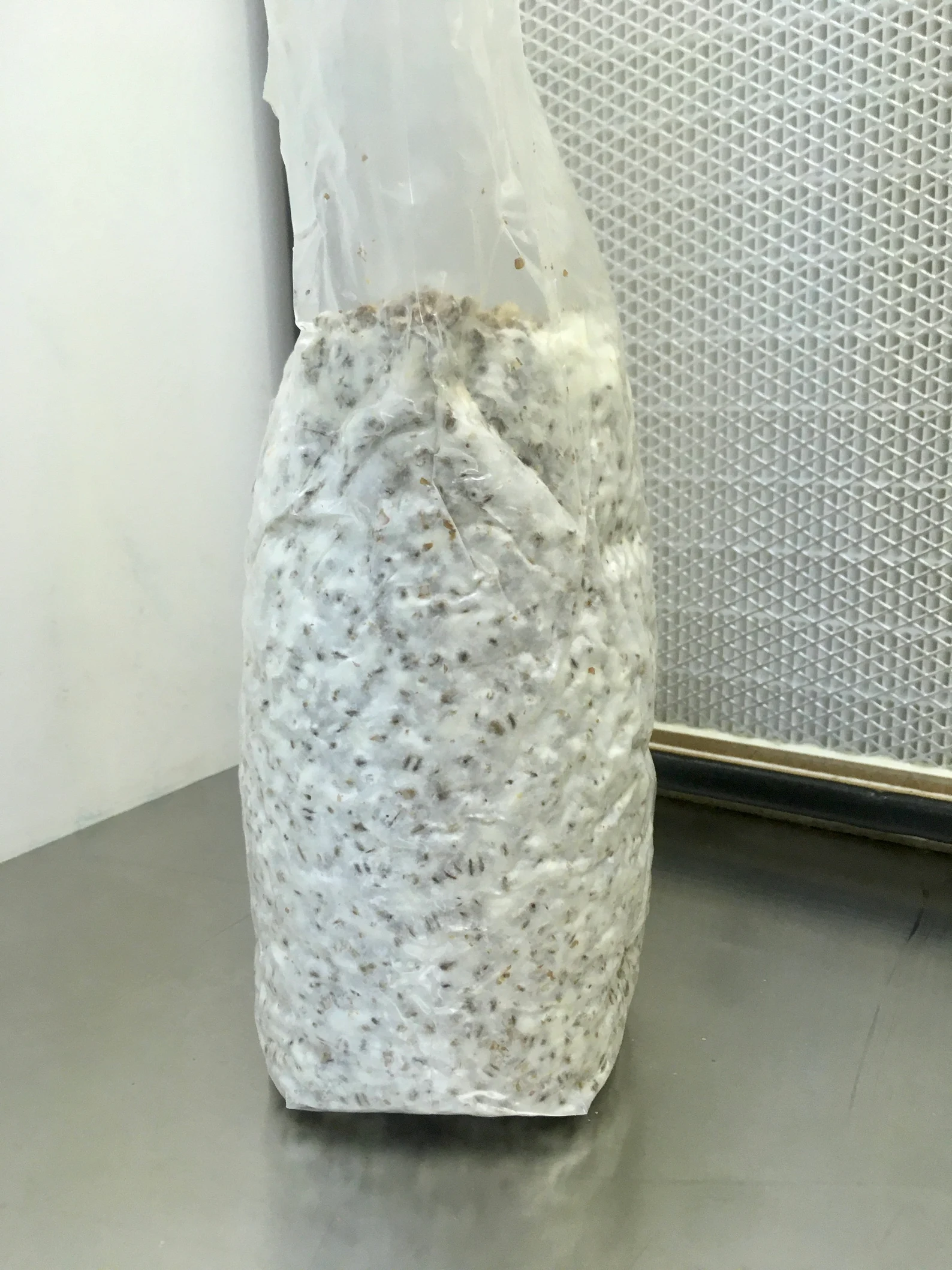 il_1588xN.5735406769_nov7